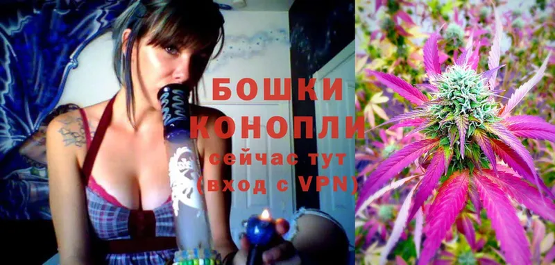 Марихуана Ganja  купить закладку  Выборг 